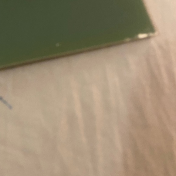 Disney Exclusive Commemorative Lithograph with Green Frame - Picture 6 of 8